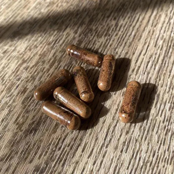 Extraits Cordyceps - Gélules French Mush