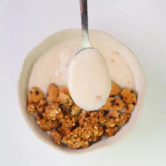 Crème de Riz Spéculos 500g Protella