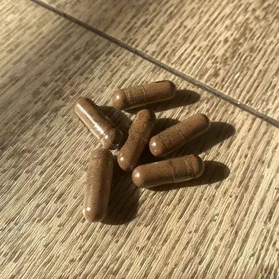 Extraits Reishi - Gélules French Mush