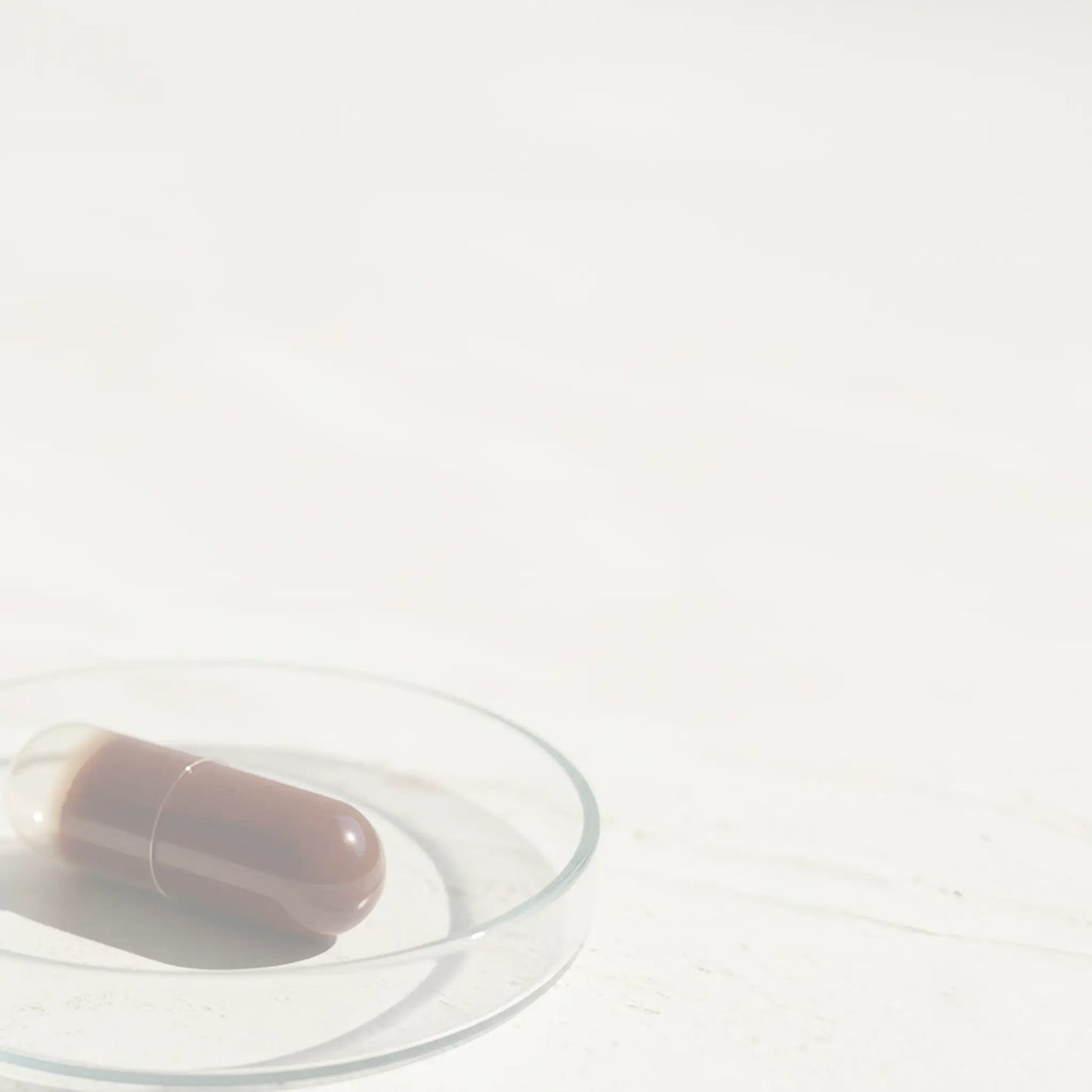 Advanced Antioxydants Blueprint