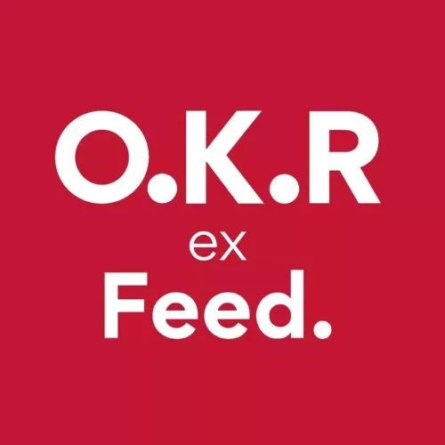O.K.R Best Of Yourself Image