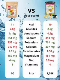 Boisson d'hydratation en poudre à diluer aux agrumes 250g Mulebar