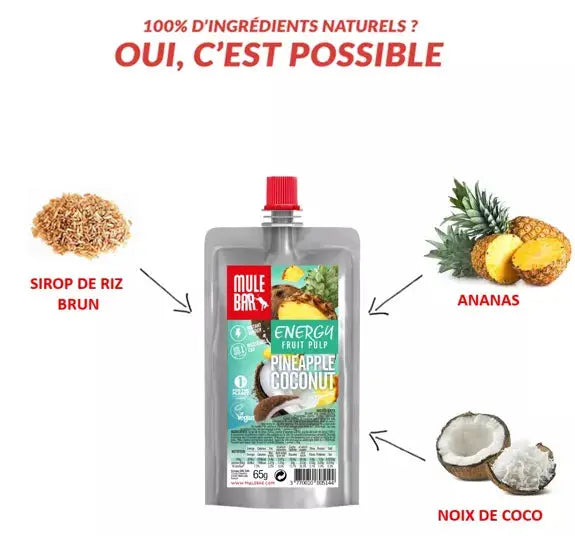 Compote énergétique aux fruits Bio - Ananas Coco Mulebar