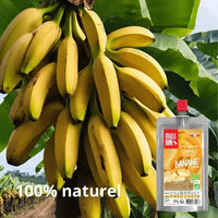 Compote énergétique aux fruits Bio - Banane Mulebar
