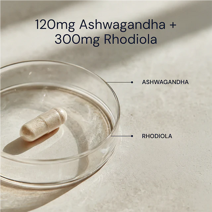 Ashwagandha + Rhodiola Blueprint