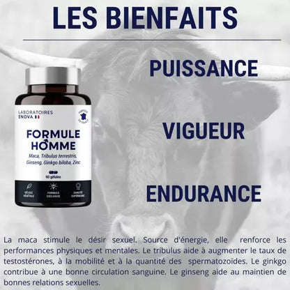 Formule Hommes Laboratoires ENOVA