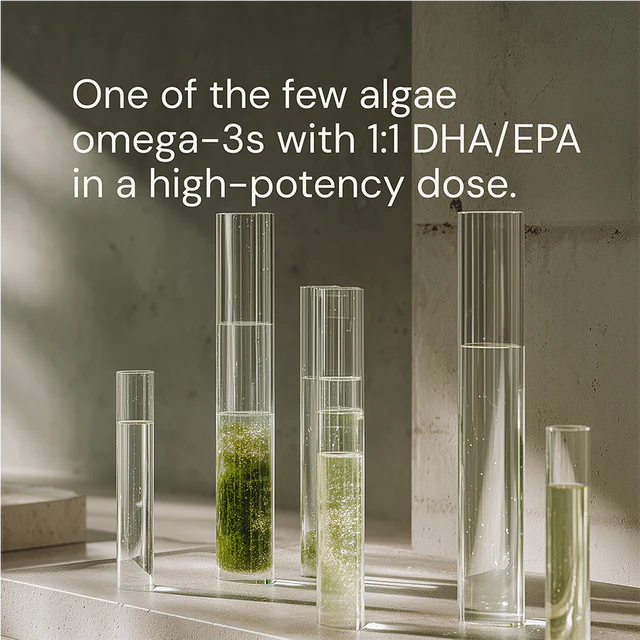 Oméga 3 Blueprint