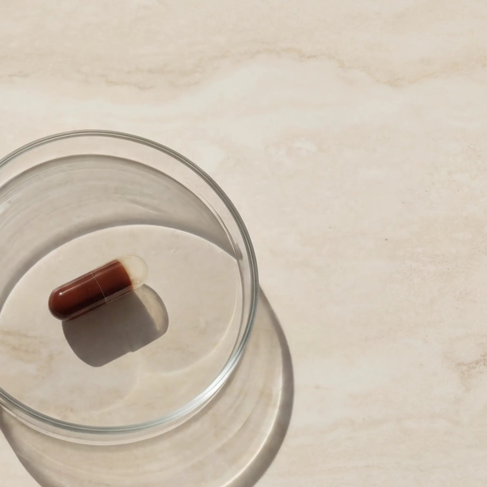 Advanced Antioxydants Blueprint