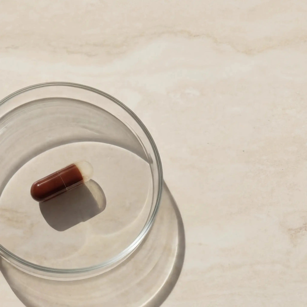 Advanced Antioxydants Blueprint