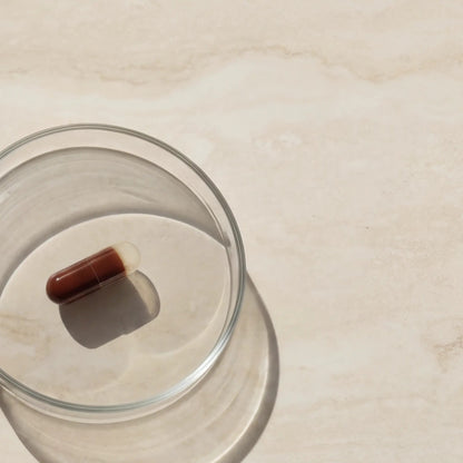 Advanced Antioxydants Blueprint