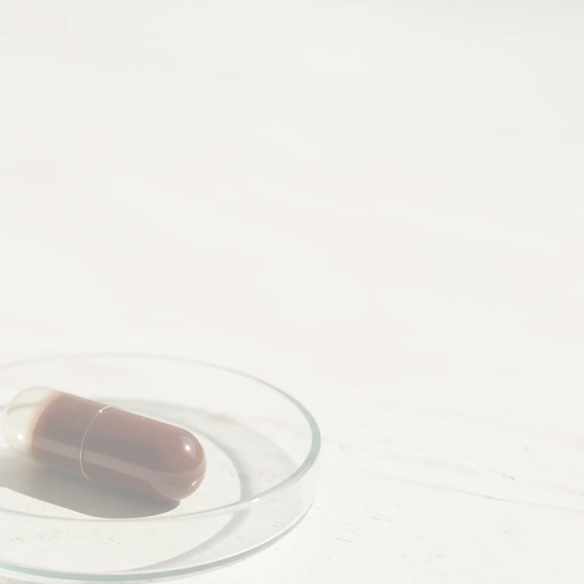 Advanced Antioxydants Blueprint