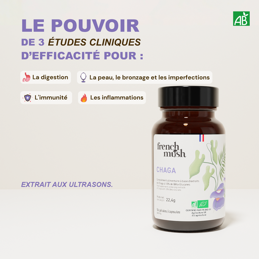 Extraits Chaga 56 gélules French Mush