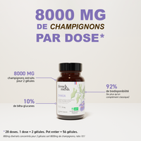 Extraits Chaga 56 gélules French Mush