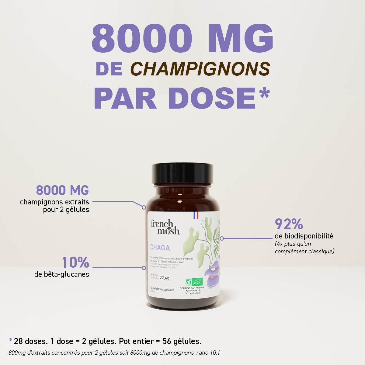 Extraits Chaga 56 gélules French Mush