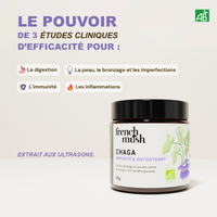 Poudre d'extraits de Chaga 30g French Mush