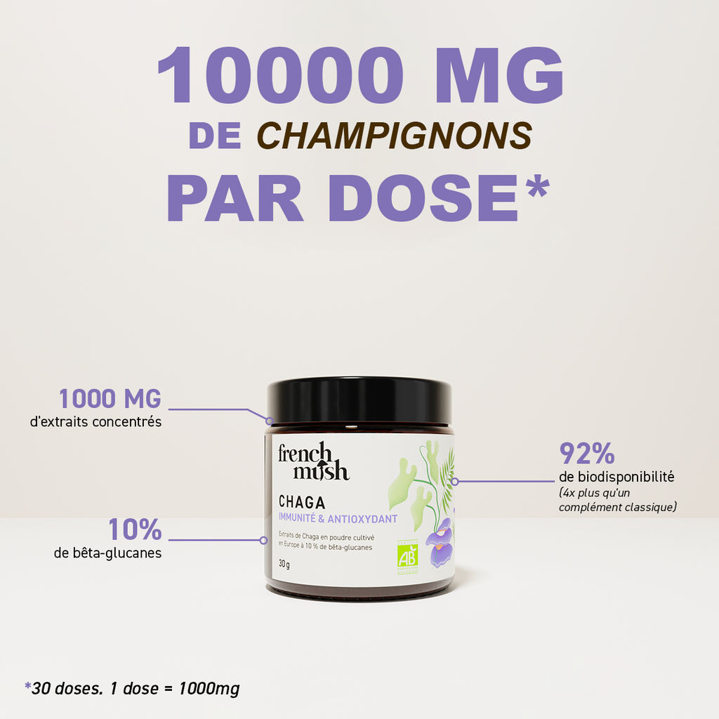Poudre d'extraits de Chaga 30g French Mush