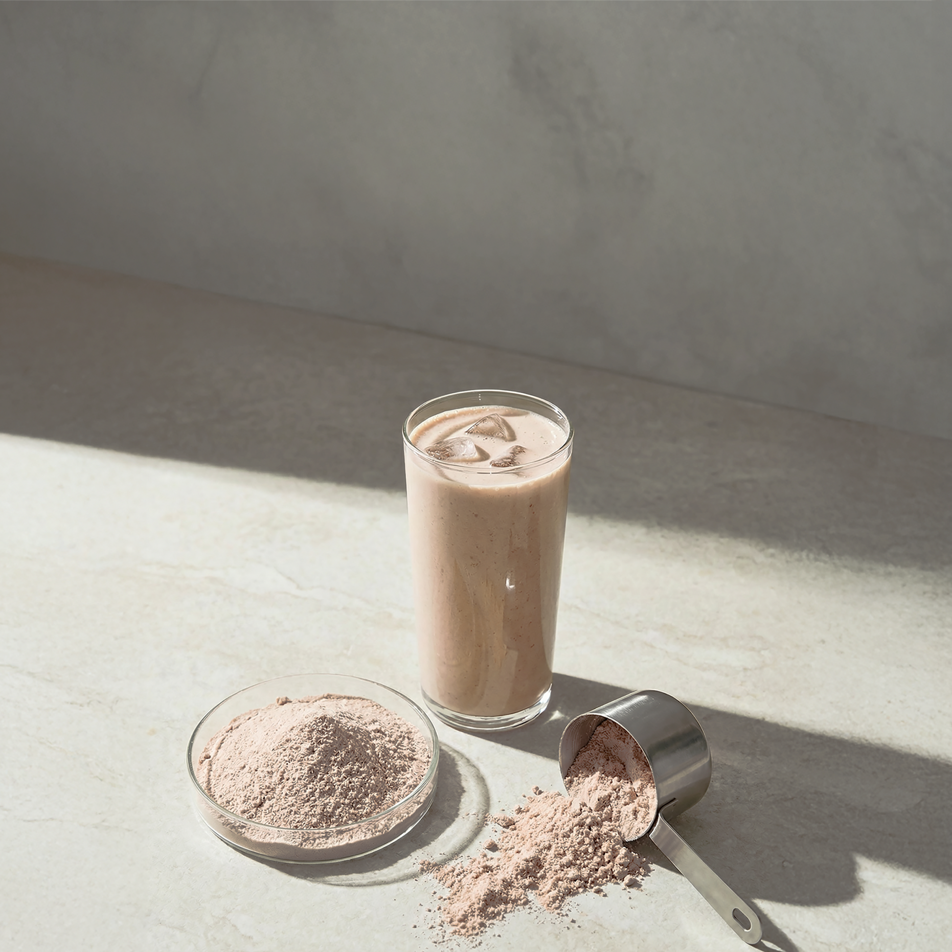 Longevity Protein Chocolat Blueprint