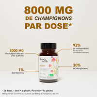 Extraits Reishi 56 gélules French Mush